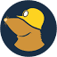 Mullvad icon