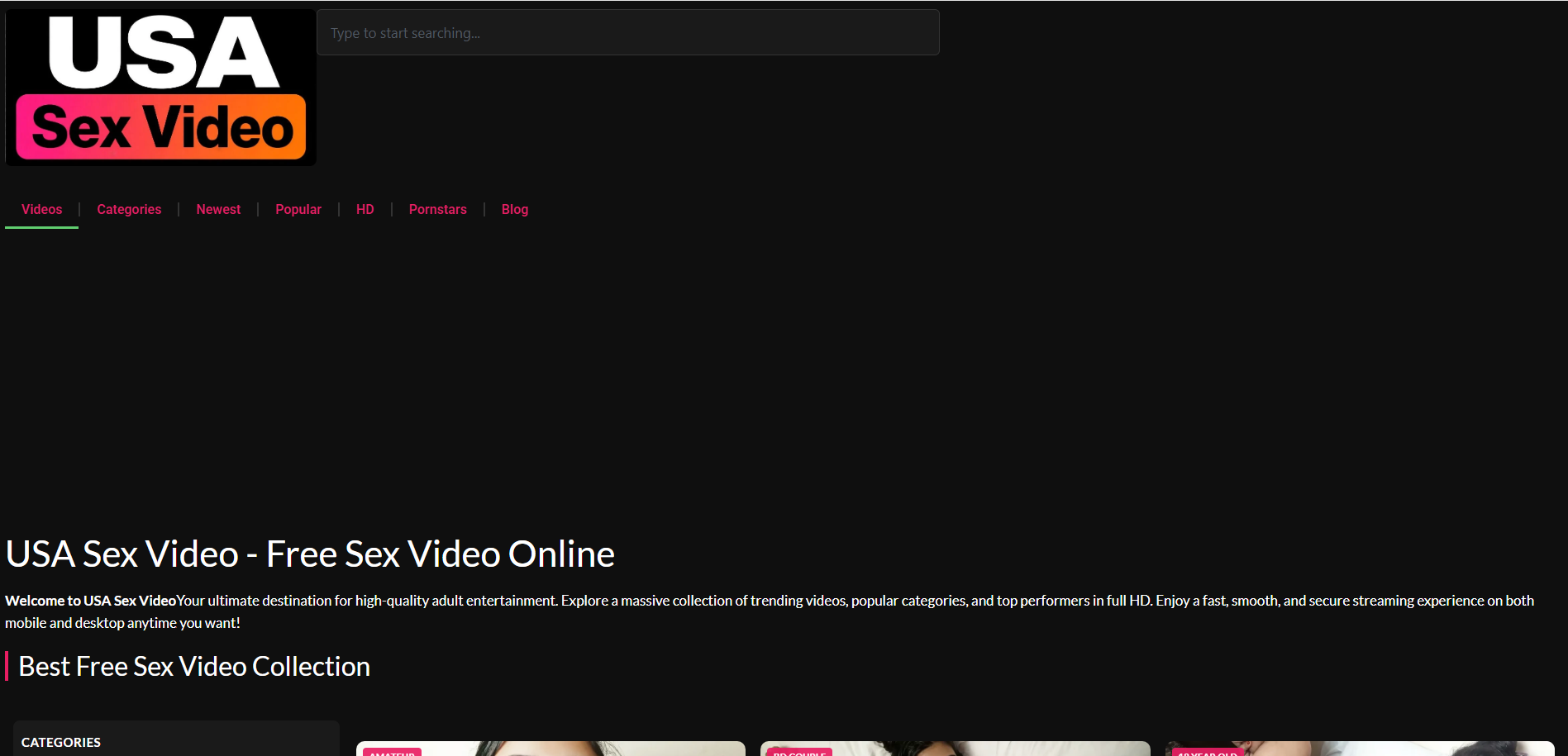 Screenshot of the USA Sex Video homepage (usasexvideo.com)