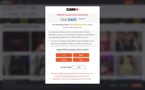 Screenshot of Cam4