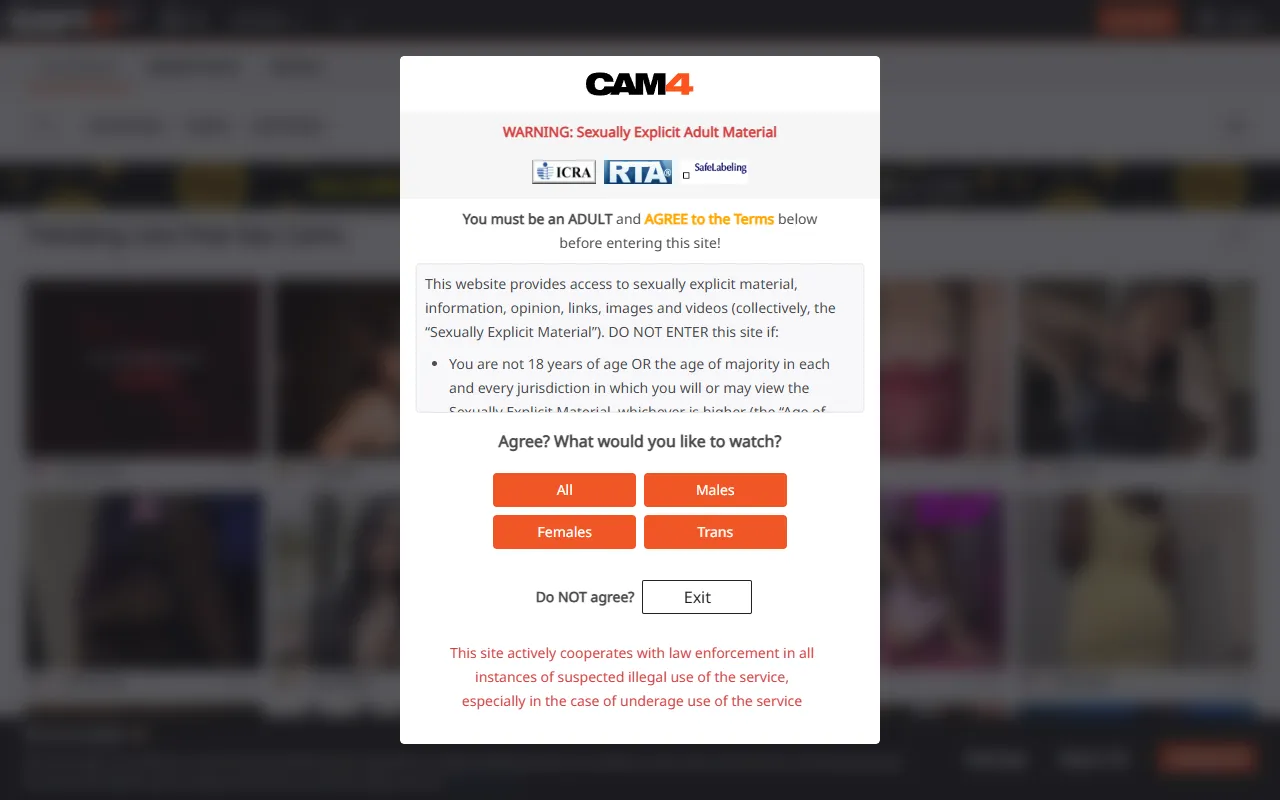 Screenshot of the Cam4 homepage (cam4.com)