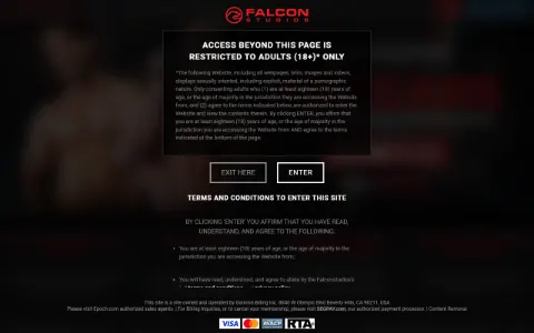 Screenshot of Falcon Studios