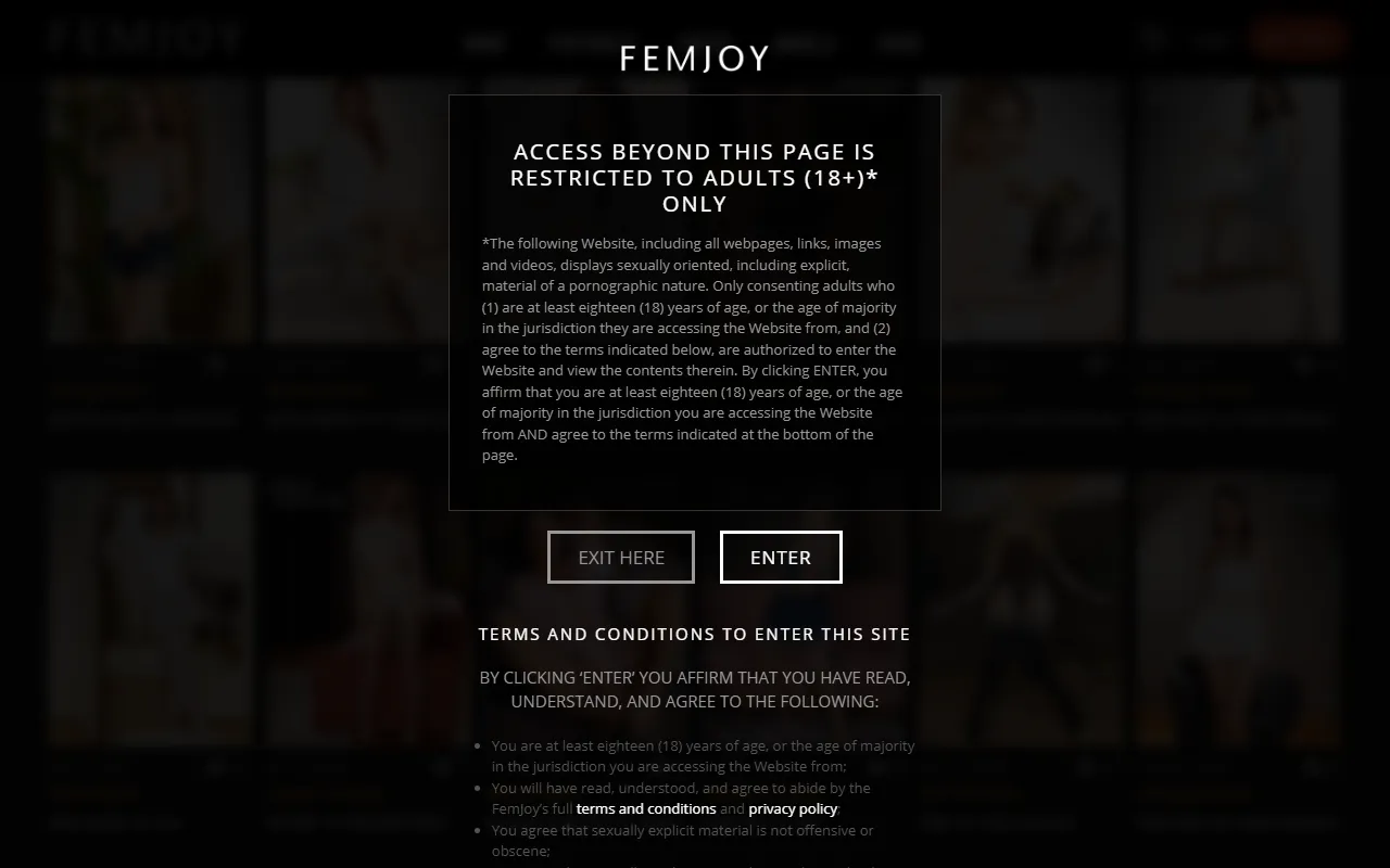 Screenshot of the Femjoy homepage (femjoy.com)