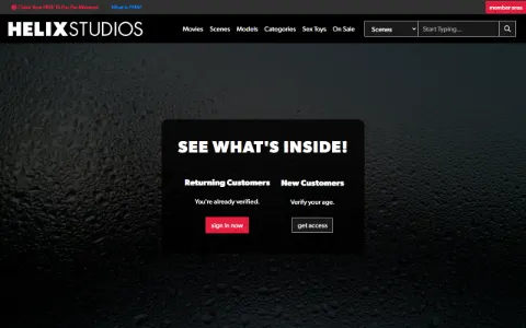 Screenshot of Helix Studios