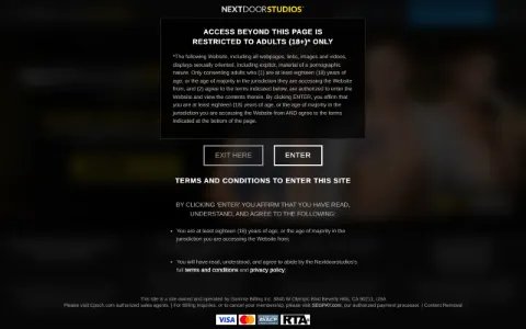 Screenshot of NextDoorStudios