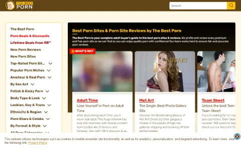 Screenshot of The Best Porn