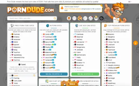 Screenshot of ThePornDude