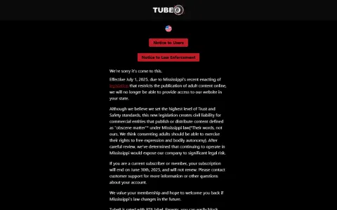 Screenshot of Tube8