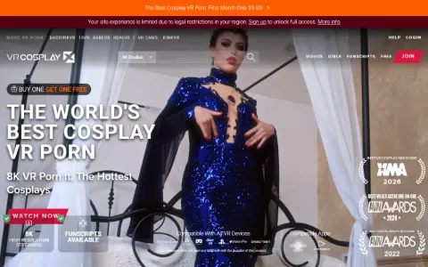 Screenshot of VRCosplayX