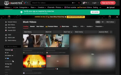 Screenshot of xHamster Ebony