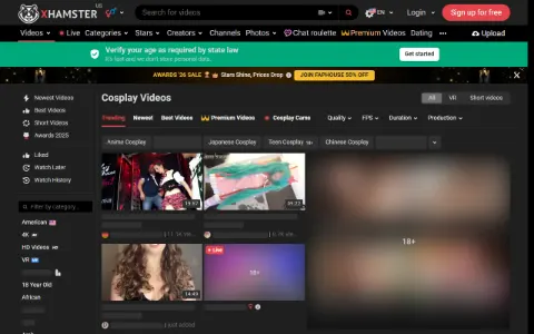 Screenshot of xHamster Cosplay