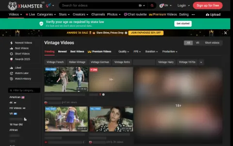 Screenshot of xHamster Vintage