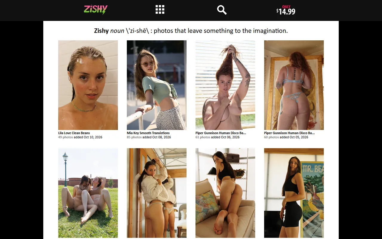 Screenshot of the Zishy homepage (zishy.com)
